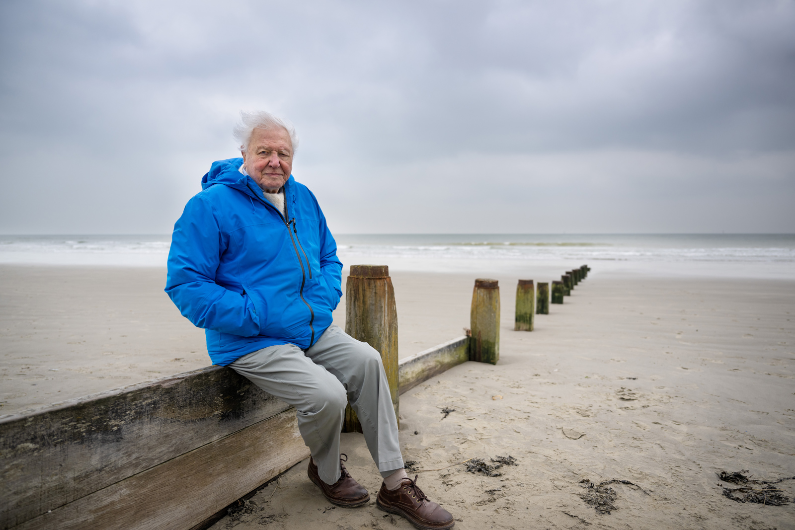 Sir David Attenborough blickt in Südengland auf das Meer