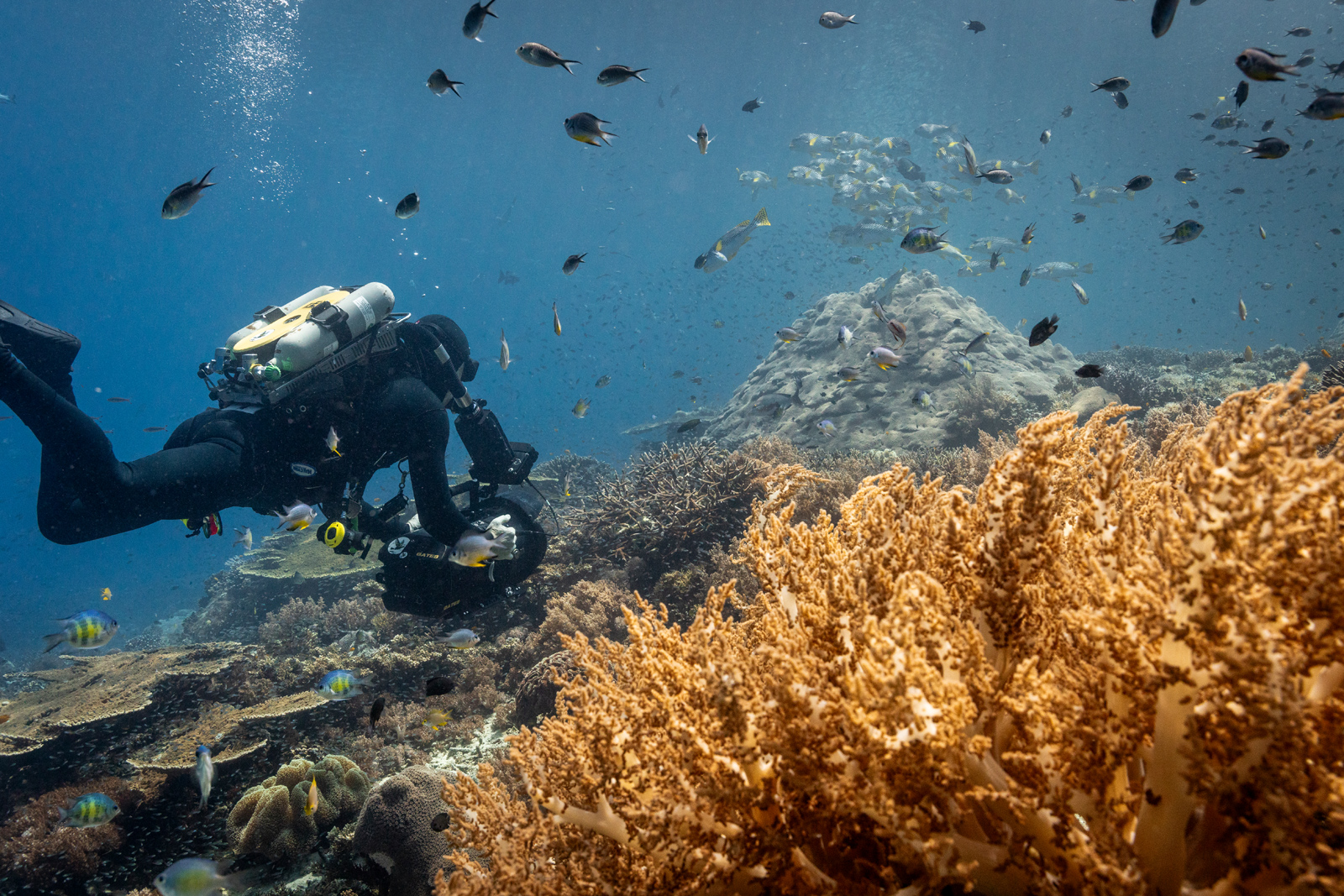 Kameramann Doug Anderson filmt die Korallenriffe von Raja Ampat in Indonesien