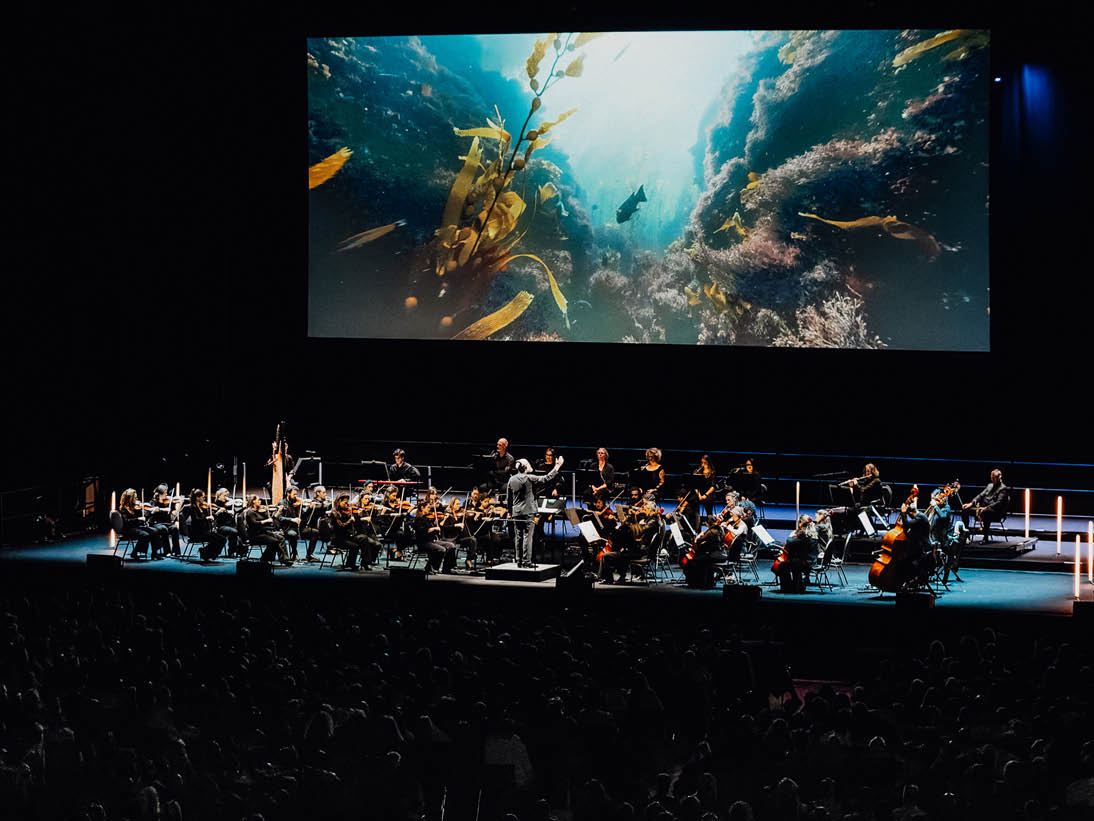 Ocean in Concert - Konzertvorschau