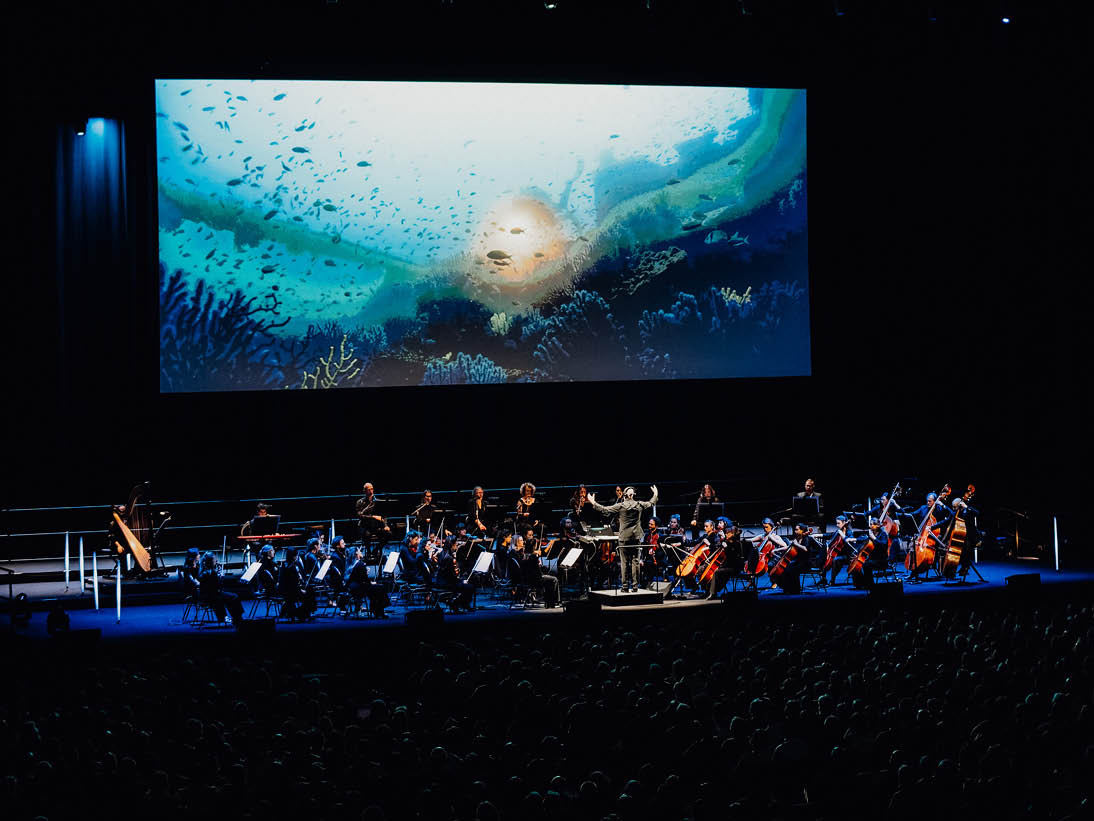 Ocean in Concert - Konzertvorschau