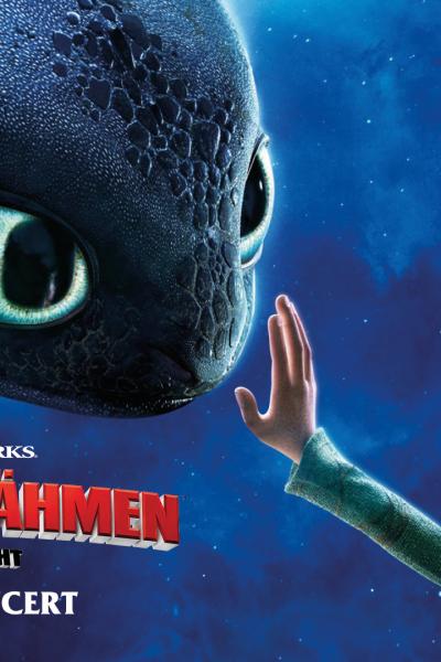 Drachenzähmen leicht gemacht - KeyArt