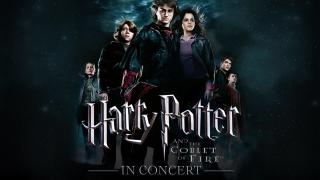 Harry Potter and the Goblet of Fire - Luzern