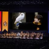 Harry Potter und der Stein der Weisen™ - in Concert - Pressebild