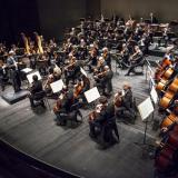 Neue Philharmonie Westfalen