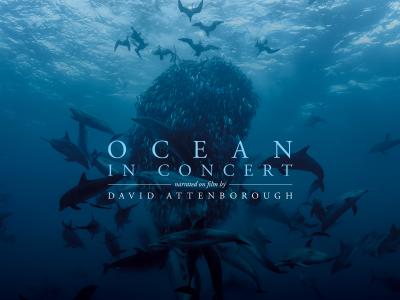 Ocean in Concert - KeyArt
