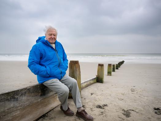 Sir David Attenborough blickt in Südengland auf das Meer