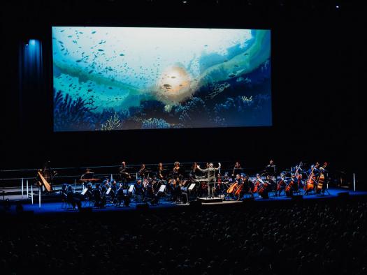 Ocean in Concert - Konzertvorschau